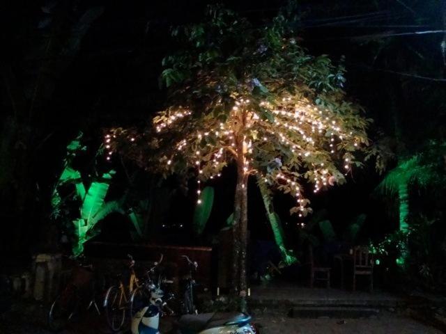 לואנג פרבאנג Riverside Guesthouse מראה חיצוני תמונה